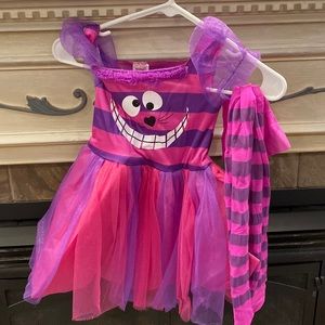 Spirit Halloween Toddler Cheshire Cat Costume Size 3T-4T